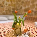 Casa Bella A Skala 2 شقة Skala (Kefalonia)